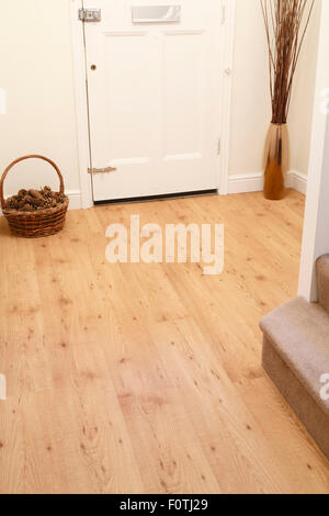 Plancher en bois dans le couloir d'un appartement moderne Banque D'Images