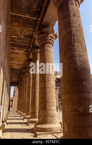 Une vue verticale de certaines colonnes du temple d'Horus à Edfou, Egypte Banque D'Images