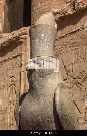 Une vue verticale d'Horus à l'entrée de la grande cour. Temple d'Edfou. Nubie, Egypte. Banque D'Images