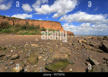 Barmston falaises de la côte est, Holderness Yorkshire, Angleterre, Royaume-Uni. Le littoral le plus rapide d'éroder en Europe. Banque D'Images