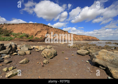 Barmston falaises de la côte est, Holderness Yorkshire, Angleterre, Royaume-Uni. Le littoral le plus rapide d'éroder en Europe. Banque D'Images