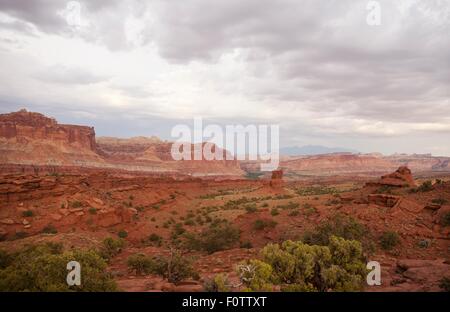 Vue sur vallée dans Capitol Reef National Park, Torrey, Utah, USA Banque D'Images