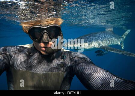 Plongeur, requin bleu en arrière-plan, au sud de Cork, Irlande Banque D'Images