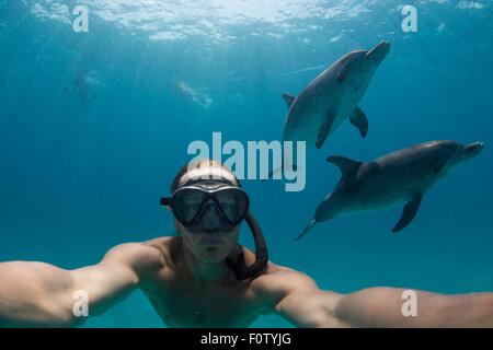 L'homme libre la plongée avec les dauphins tachetés de l'Atlantique, Bimini, Bahamas Banque D'Images