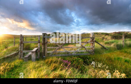 Moorland gate sous un ciel d'orage spectaculaire Banque D'Images