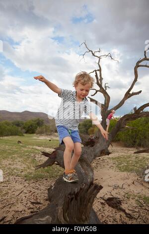 L'escalade sur le garçon arbre mort, Purros, Kaokoland, Namibie Banque D'Images