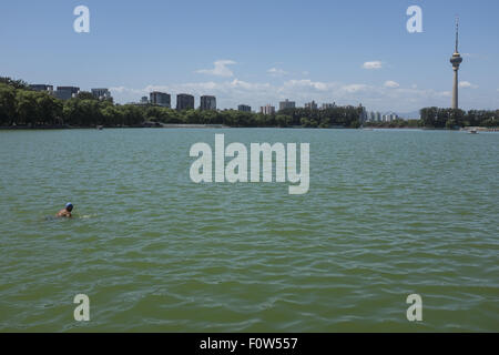 Beijing, Chine. Août 21, 2015. L'homme nage dans Bayihu Lake, Beijing, Chine. © Jiwei Han/ZUMA/Alamy Fil Live News Banque D'Images