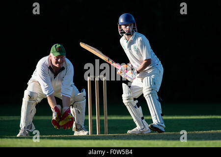 Le cricket, le batteur en action Banque D'Images