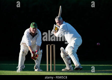 Le Cricket, S =batteur principal en action Banque D'Images