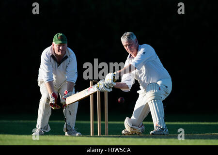 Batteur de cricket senior en action. Banque D'Images