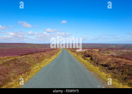 La route à travers la floraison purple heather of Glaisdale moor dans le North York Moors national park en août. Banque D'Images