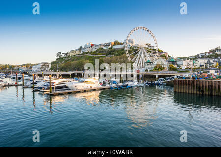 Tôt le matin à la tranquillité le port de Torquay Devon UK Banque D'Images