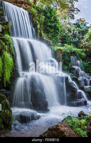 La chute d'eau connue sous le nom de la Cascade sur le Bowood Estate dans le Wiltshire en été. Banque D'Images