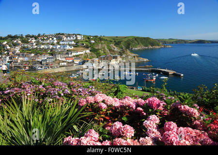 Un port de pêche de Cornouailles avec des chalets et des hortensias roses au premier plan. Banque D'Images