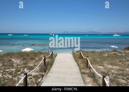 Île de Formentera Les armoiries d'Ibiza, Espagne Banque D'Images