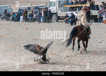 Hunter eagle kazakhs son aigle leurre près du stand du juge, Eagle Festival, Olgii, l'ouest de la Mongolie Banque D'Images