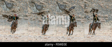 Les jeunes leurre concurrent son eagle, Eagle Festival, Olgii, l'ouest de la Mongolie Banque D'Images