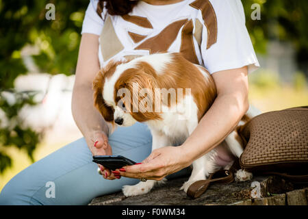 Femme mature montrant quelque chose à son chien cavalier sur smartphone, piscine dans la nature Banque D'Images