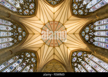 York Minster Chapter House - incroyable chambre octogonale avec de belles voûtes en éventail et vitraux Banque D'Images