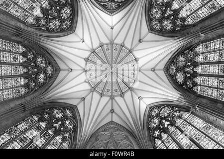 York Minster Chapter House - incroyable chambre octogonale avec de belles voûtes en éventail et vitraux Banque D'Images