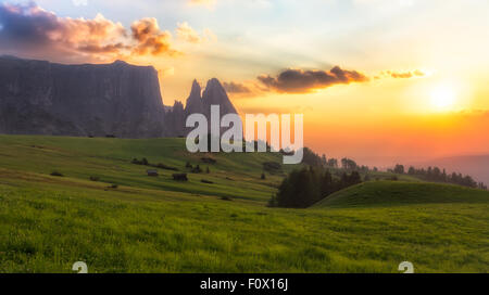 Montagne Schlern de pâturages au coucher du soleil, le Tyrol du Sud, Italie Banque D'Images