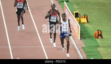 (150822) --BEIJING, 22 août 2015 (Xinhua) -- Mohamed Farah (avant) de Grande-Bretagne célèbre après la finale hommes 10000m au Championnats du monde d'athlétisme de l'IAAF de 2015 à Beijing, capitale de Chine, le 22 août 2015. (Xinhua/Wang Haofei) Banque D'Images