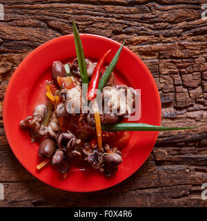 Pieuvres bébé en rouge lave Banque D'Images