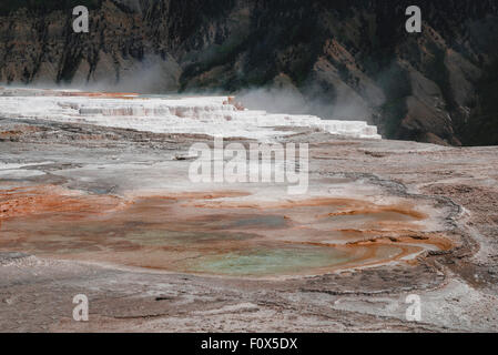 Vue sur les terrasses faites de carbonate de calcium cristallisé,le parc national de Yellowstone, Wyoming, USA Banque D'Images