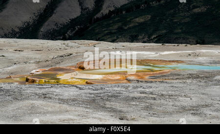 Vue sur les terrasses faites de carbonate de calcium cristallisé, Mammoth Hot Springs, Parc National de Yellowstone, Wyoming, USA Banque D'Images