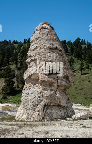 L'Liberty Cap dans Mammoth Hot Springs, parc national de Yellowstone Parc National ParkYellowstone , Wyoming, USA Banque D'Images