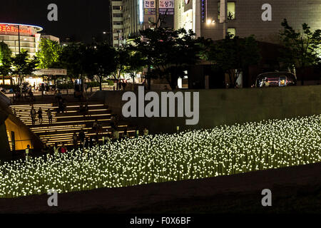 Jardin de fleurs blanches par nuit, Dongdaemun History & Culture Park, Dongdaemun Design Plaza, Séoul, Corée du Sud. Banque D'Images