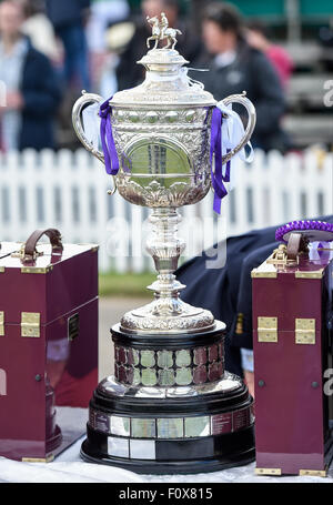 La finale de la Coupe du Warwickshire Tooheys New à Cirencester park Polo Club - Club Apeshill ont pris sur H B Polo avec Apeshill à court terme, lauréats du prestigieux trophée. Doté d''atmosphère : où : Cirencester, Royaume-Uni : 21 Jun 2015 Quand Banque D'Images