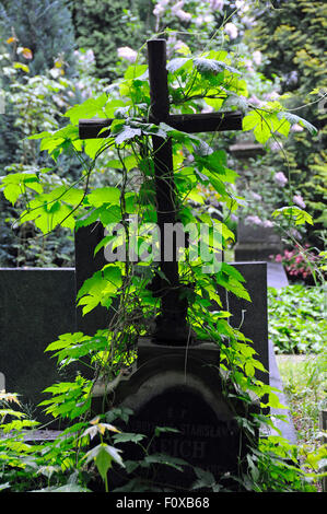 Ancienne croix couverte de lierre rampant sur la tombe du cimetière de Powiazki à Varsovie, Pologne. Banque D'Images