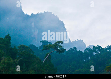 FORMATIONS KARSTIQUES créer un paysage magnifique autour du lac CHEOW FR dans Parc national de Khao Sok - Thaïlande Banque D'Images
