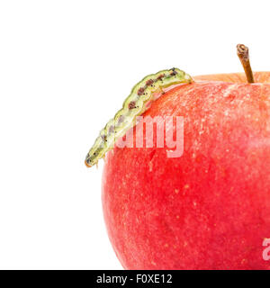 Chenille verte se meut sur pomme rouge, fond blanc Banque D'Images