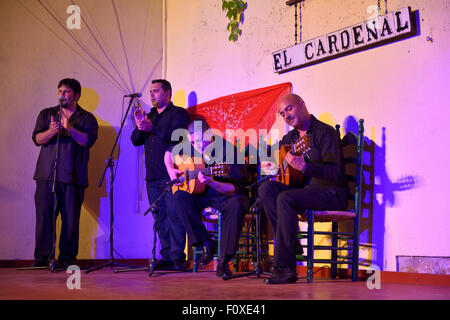 Deux chanteurs de flamenco, des guitaristes à un patio extérieur tablaos à Cordoue espagne étape Banque D'Images