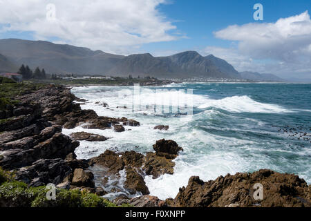 Walker Bay, Hermanus, Afrique du Sud Banque D'Images