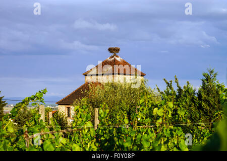 Beau Soleil colorés au village alsacien Dambach-la-Ville. Vue panoramique. France Banque D'Images