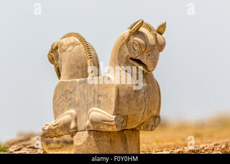 Homa Oiseau dans Persepolis Banque D'Images