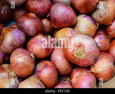 Fond d'Oignons Banque D'Images