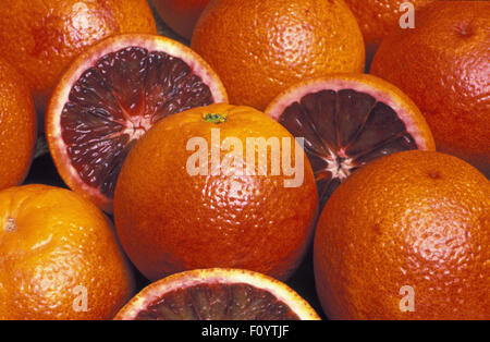 Studio image de sang récoltés l'oranger (Citrus sinensis) Banque D'Images