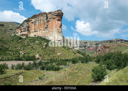 Contrefort Brandwag, Golden Gate Highlands National Park, Free State, Afrique du Sud Banque D'Images