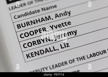 UK. 24 août, 2015. La direction du Parti du Travail Formulaire de vote indiquant les noms des candidats, Andy Burnham, Yvette Cooper, Jeremy Corbyn et Liz Kendall. Credit : West Yorkshire Images/Alamy Live News Banque D'Images