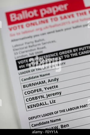 UK. 24 août, 2015. La direction du Parti du Travail Formulaire de vote indiquant les noms des candidats, Andy Burnham, Yvette Cooper, Jeremy Corbyn et Liz Kendall. Credit : West Yorkshire Images/Alamy Live News Banque D'Images