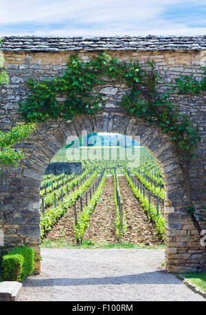 Donnant sur les vignobles à travers la cour et passage de mur du Château De La Velle à Meursault, Bourgogne Banque D'Images