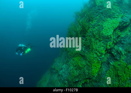 Le lac Baïkal, Sibérie, Russie. 15 Oct, 2014. Plongeur Technique, le lac Baïkal, en Sibérie, la Russie, l'Eurasie. © Andrey Nekrasov/ZUMA/ZUMAPRESS.com/Alamy fil Live News Banque D'Images