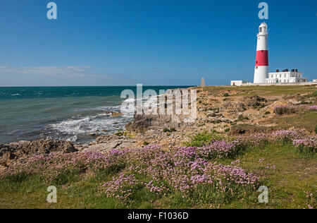 Le phare de Portland Bill Dorset England UK Banque D'Images