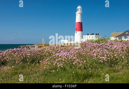 Le phare de Portland Bill Dorset England UK Banque D'Images