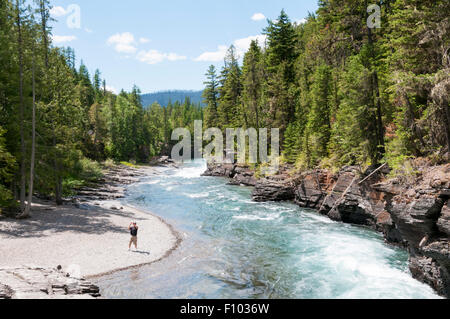 McDonald Creek vue vers le sud de McDonald Falls, à côté de la Passe-à-la-Sun Road dans le Glacier National Park, Montana, USA. Banque D'Images