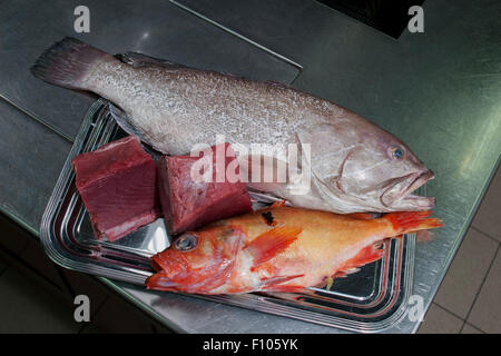 Poisson frais dorado cherne sur plateau métallique Banque D'Images